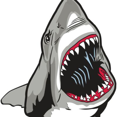 AR20 SHARK 45 RQC Thumbnail